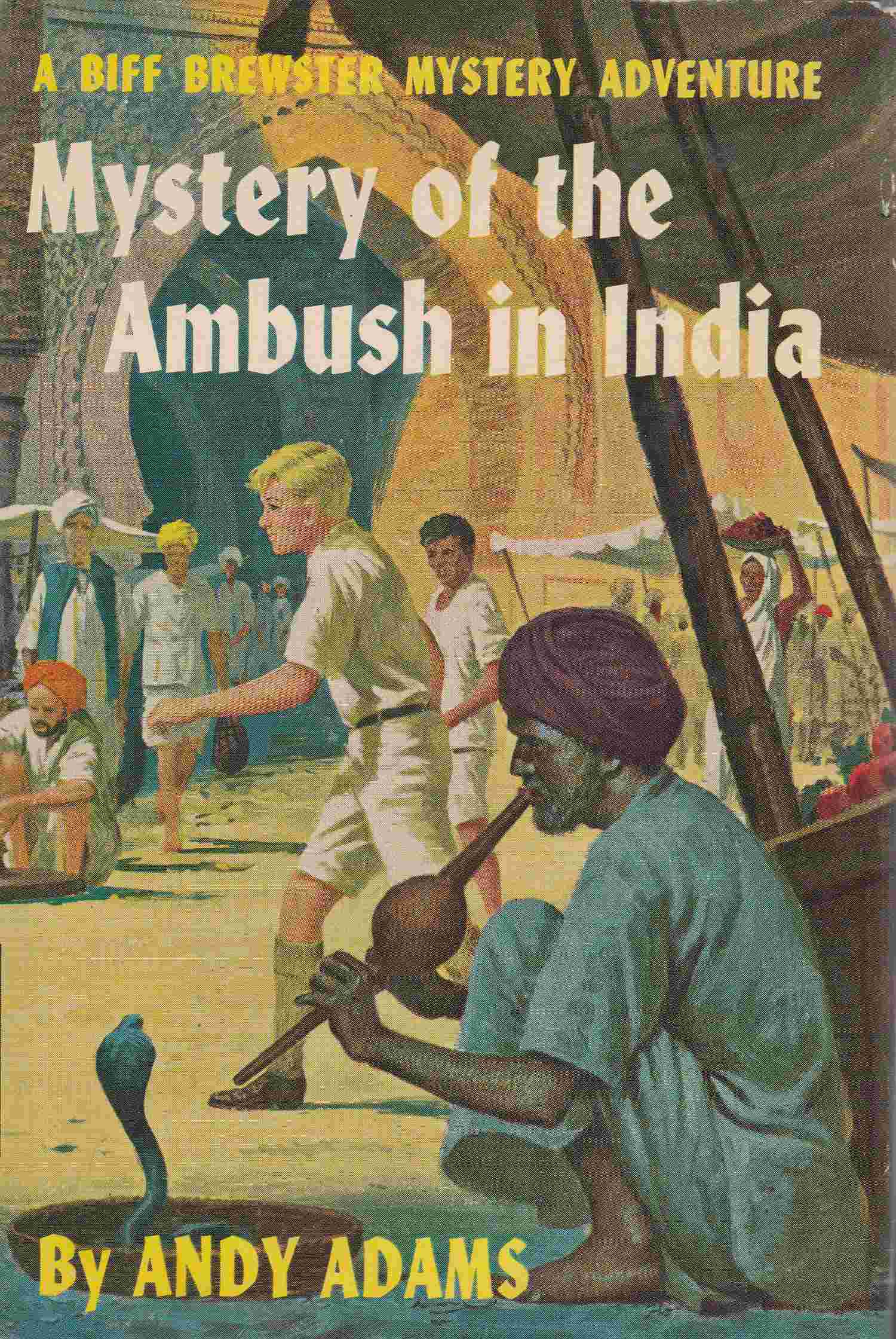 Mystery of the Ambush in India