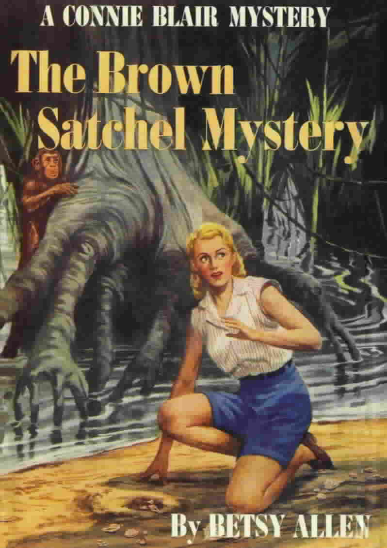 The Brown Satchel Mystery