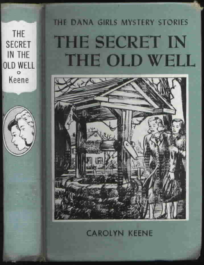 13. The Secret in the Old Well