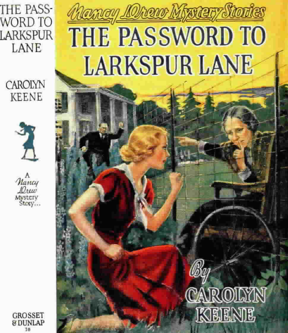 The Password to Larkspur Lane
