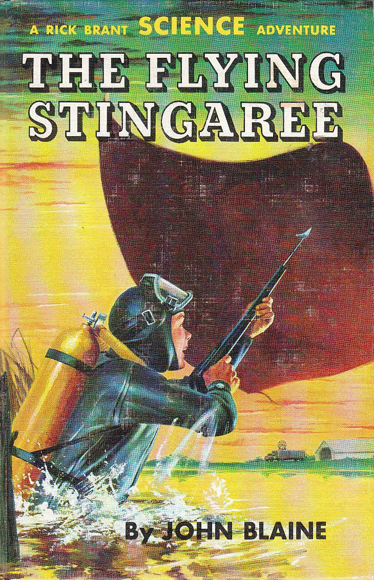 The Flying Stingaree